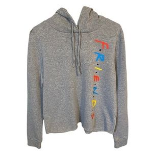 Friends Gray Hoodie. Size L. Excellent Conditions.